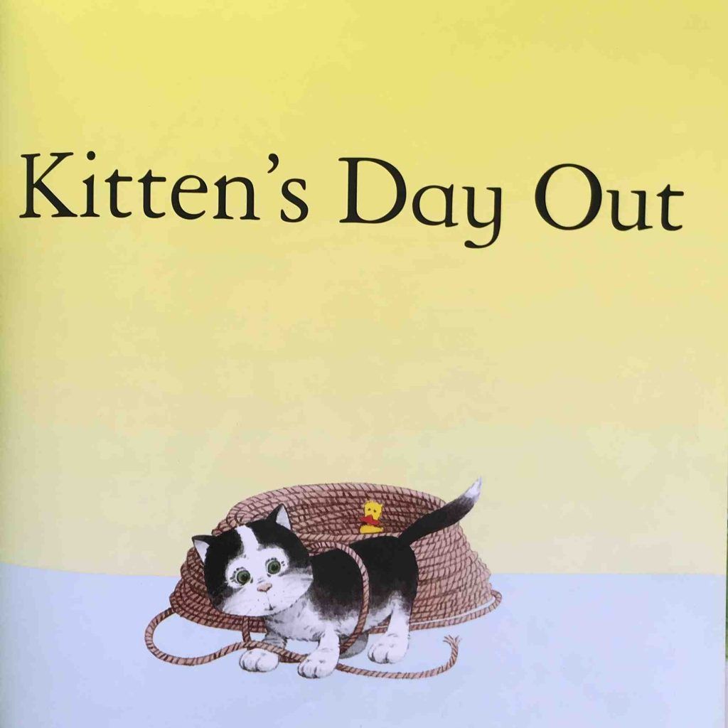 Kitten's day out