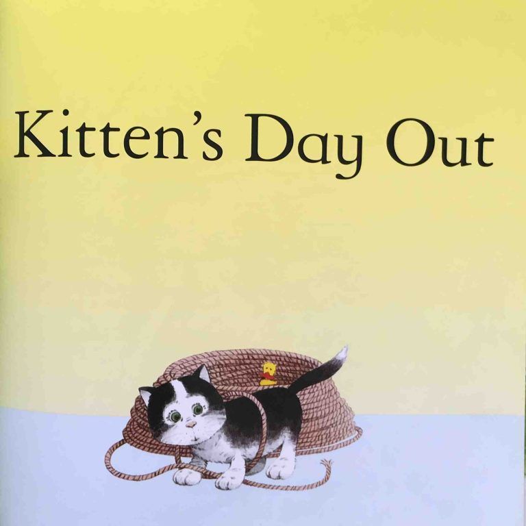 Kitten's day out