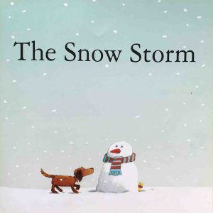 The snow storm