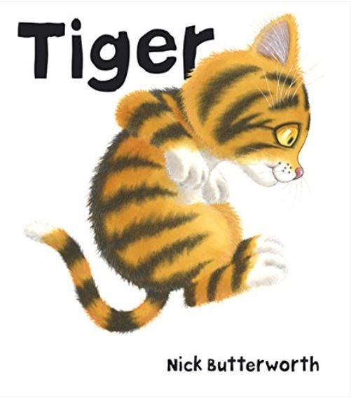 Tiger book Nick Butterworth