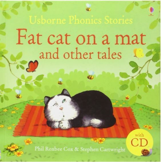 Fat cat on a mat
